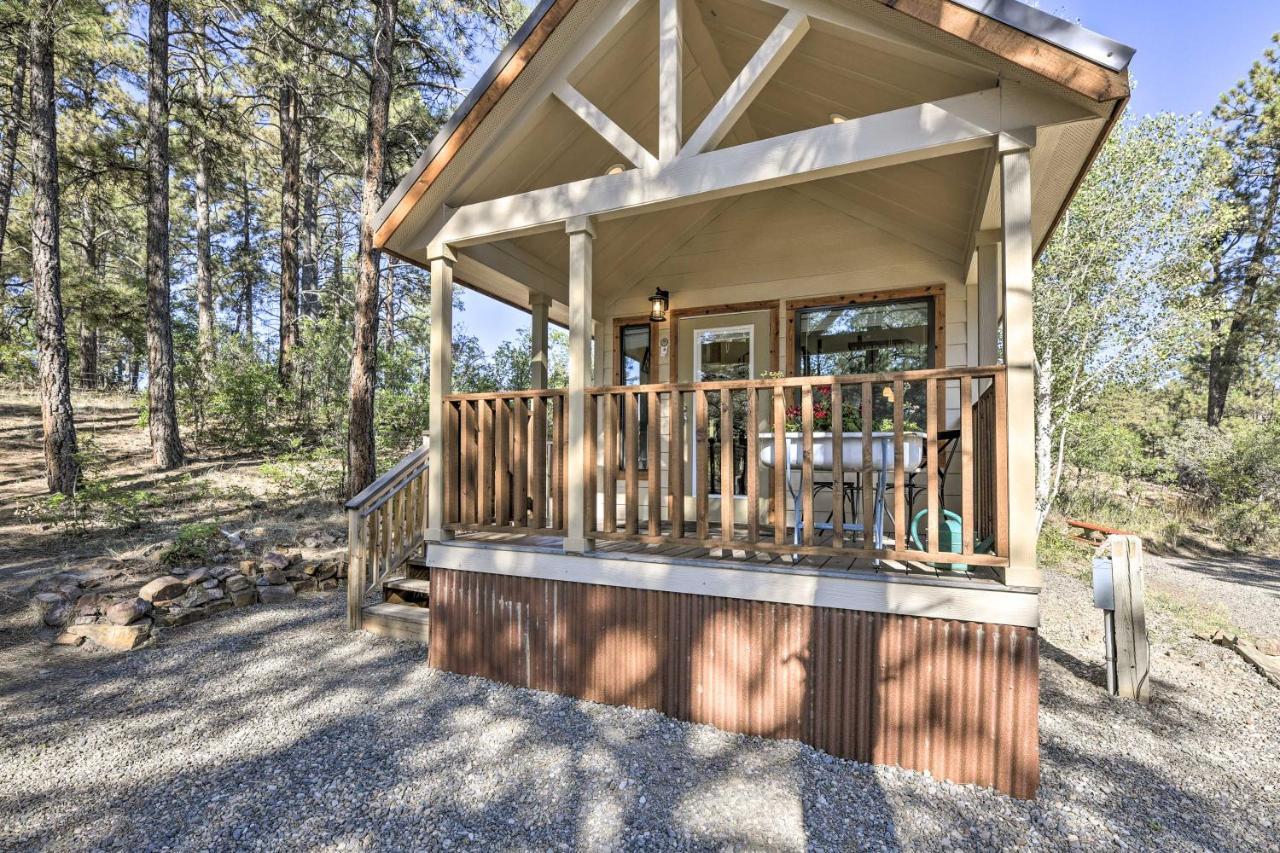 Roomy Pagosa Springs Tiny Cabin 1 Mi To Downtown 外观 照片