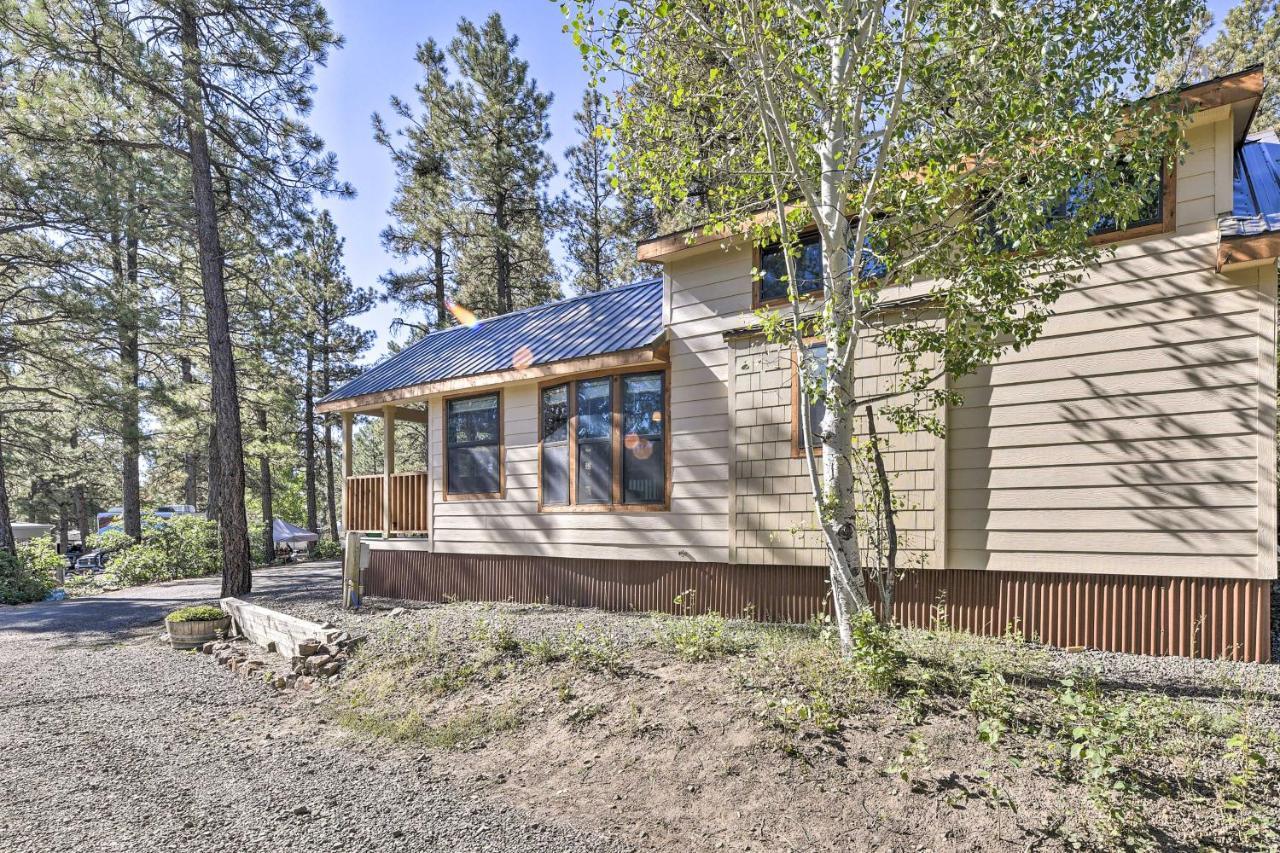 Roomy Pagosa Springs Tiny Cabin 1 Mi To Downtown 外观 照片